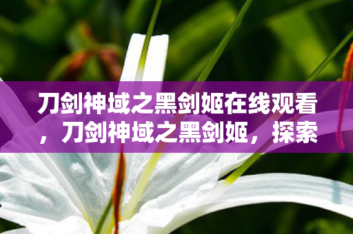 刀剑神域之黑剑姬在线观看，刀剑神域之黑剑姬，探索虚拟世界的剑与魔法