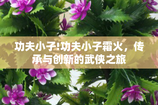 功夫小子!功夫小子霜火，传承与创新的武侠之旅