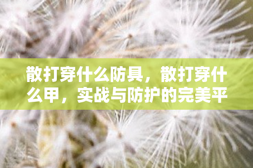 散打穿什么防具，散打穿什么甲，实战与防护的完美平衡