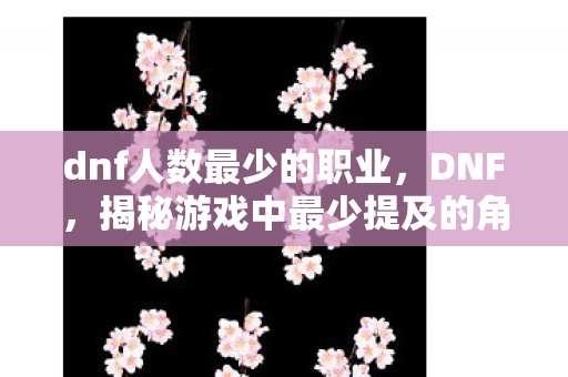 dnf人数最少的职业，DNF，揭秘游戏中最少提及的角色—神秘的暗影法师