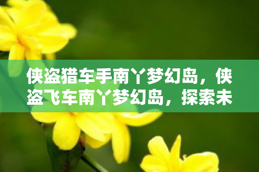 侠盗猎车手南丫梦幻岛，侠盗飞车南丫梦幻岛，探索未知海域的冒险之旅