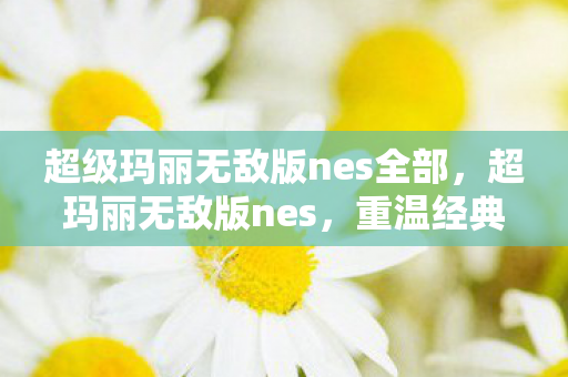 超级玛丽无敌版nes全部，超玛丽无敌版nes，重温经典，畅享无限乐趣