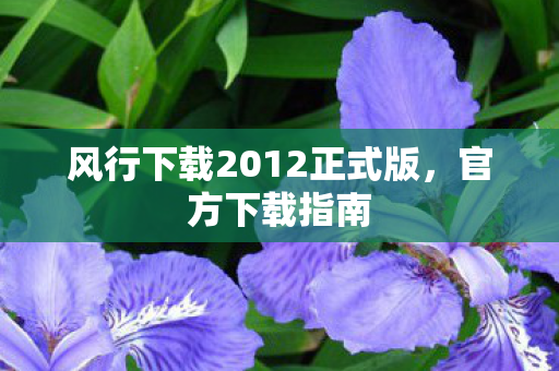 风行下载2012正式版，官方下载指南