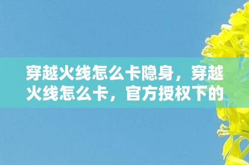 穿越火线怎么卡隐身，穿越火线怎么卡，官方授权下的游戏优化与性能提升指南