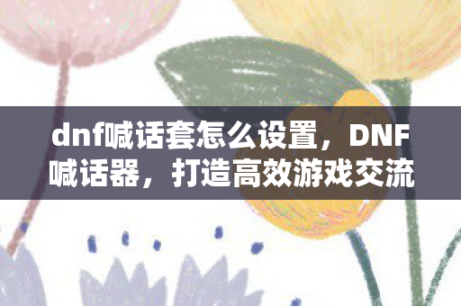 dnf喊话套怎么设置，DNF喊话器，打造高效游戏交流的必备神器