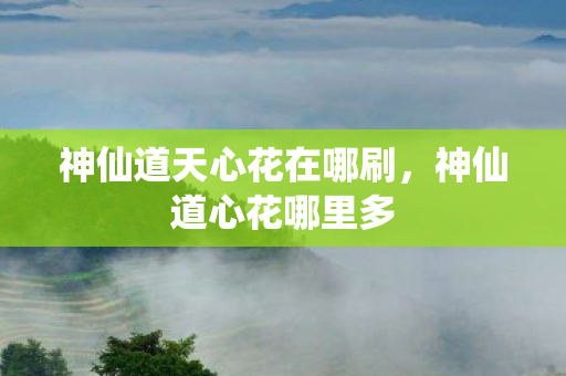 神仙道天心花在哪刷，神仙道心花哪里多