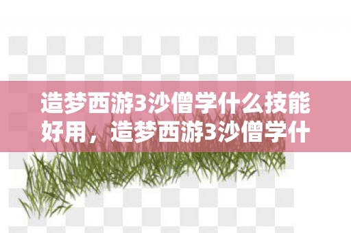 造梦西游3沙僧学什么技能好用，造梦西游3沙僧学什么技能好