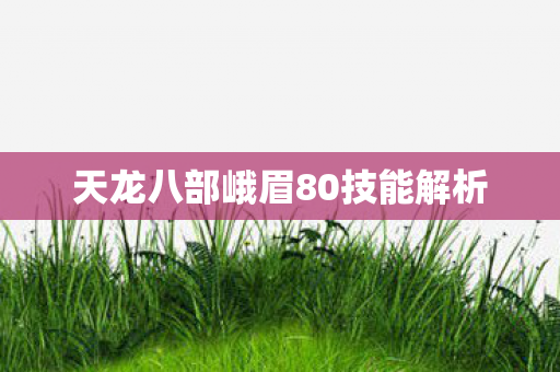 天龙八部峨眉80技能解析