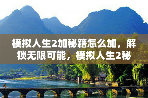 模拟人生2加秘籍怎么加，解锁无限可能，模拟人生2秘籍大揭秘