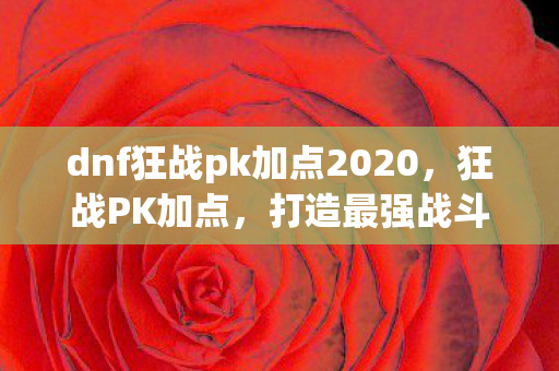 dnf狂战pk加点2020，狂战PK加点，打造最强战斗力的关键