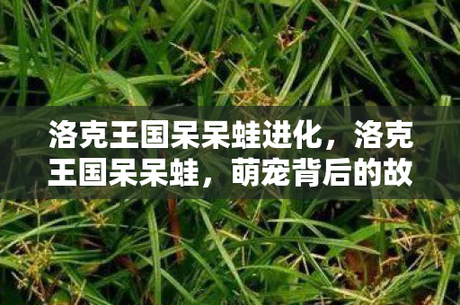 洛克王国呆呆蛙进化，洛克王国呆呆蛙，萌宠背后的故事与游戏乐趣