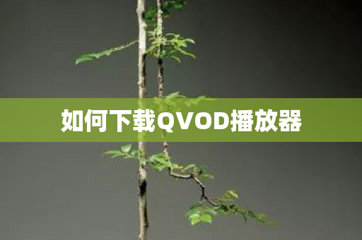 如何下载QVOD播放器