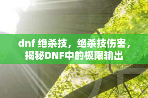 dnf 绝杀技，绝杀技伤害，揭秘DNF中的极限输出