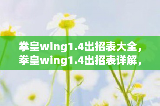 拳皇wing1.4出招表大全，拳皇wing1.4出招表详解，掌握经典格斗游戏的精髓