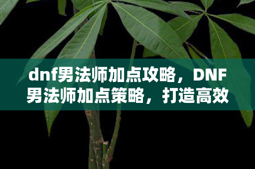 dnf男法师加点攻略，DNF男法师加点策略，打造高效战斗力的关键