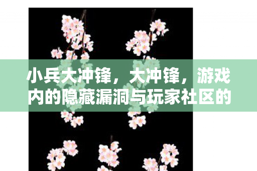 小兵大冲锋，大冲锋，游戏内的隐藏漏洞与玩家社区的应对策略
