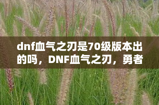 dnf血气之刃是70级版本出的吗，DNF血气之刃，勇者的战斗艺术