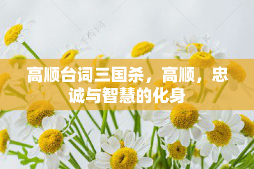 高顺台词三国杀，高顺，忠诚与智慧的化身