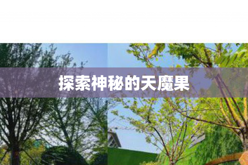 探索神秘的天魔果