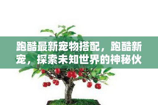 跑酷最新宠物搭配，跑酷新宠，探索未知世界的神秘伙伴