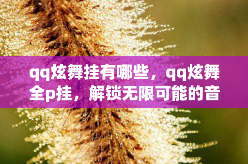 qq炫舞挂有哪些，qq炫舞全p挂，解锁无限可能的音乐舞蹈之旅