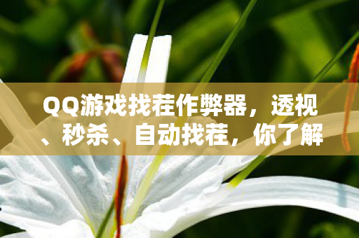 QQ游戏找茬作弊器，透视、秒杀、自动找茬，你了解多少？