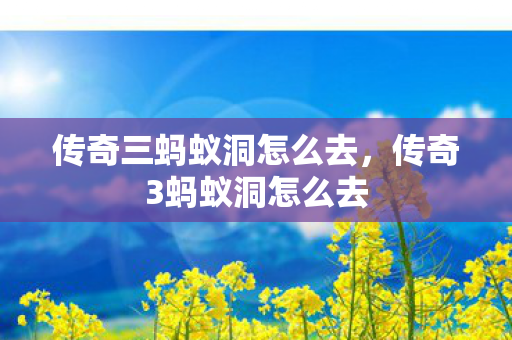 传奇三蚂蚁洞怎么去，传奇3蚂蚁洞怎么去