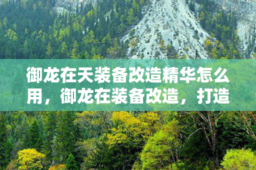御龙在天装备改造精华怎么用，御龙在装备改造，打造独一无二的神兵利器