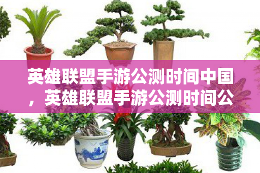 英雄联盟手游公测时间中国，英雄联盟手游公测时间公布，玩家期待已久，全新体验即将开启