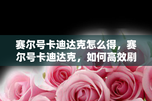 赛尔号卡迪达克怎么得，赛尔号卡迪达克，如何高效刷取强力精灵