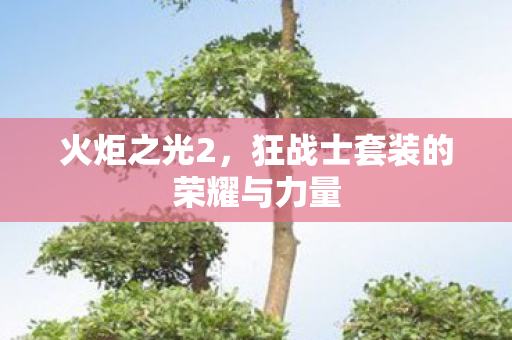 火炬之光2,狂战士套装的荣耀与力量 火炬之光2,狂战士套装的荣耀与力量