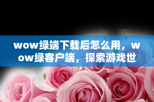 wow绿端下载后怎么用，wow绿客户端，探索游戏世界的全新体验