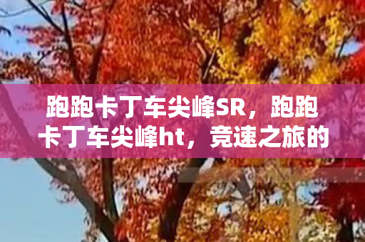 跑跑卡丁车尖峰SR，跑跑卡丁车尖峰ht，竞速之旅的极致体验