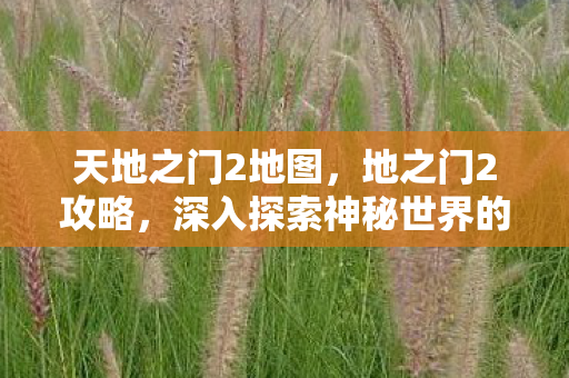 天地之门2地图，地之门2攻略，深入探索神秘世界的策略指南