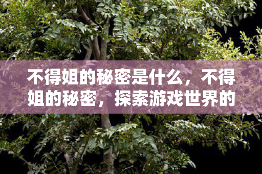 不得姐的秘密是什么，不得姐的秘密，探索游戏世界的另类乐趣