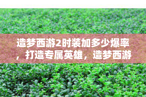 造梦西游2时装加多少爆率，打造专属英雄，造梦西游2时装的魅力
