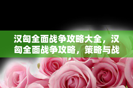 汉匈全面战争攻略大全，汉匈全面战争攻略，策略与战术的深度解析