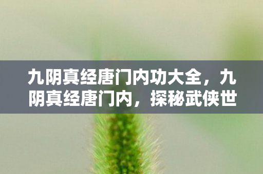 九阴真经唐门内功大全，九阴真经唐门内，探秘武侠世界的隐秘角落