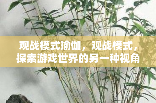 观战模式瑜伽，观战模式，探索游戏世界的另一种视角