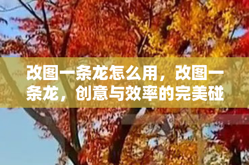 改图一条龙怎么用，改图一条龙，创意与效率的完美碰撞