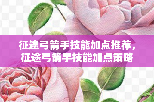 征途弓箭手技能加点推荐，征途弓箭手技能加点策略
