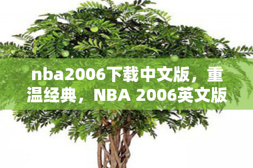 nba2006下载中文版，重温经典，NBA 2006英文版下载体验