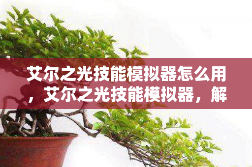 艾尔之光技能模拟器怎么用，艾尔之光技能模拟器，解锁无限可能的战斗艺术