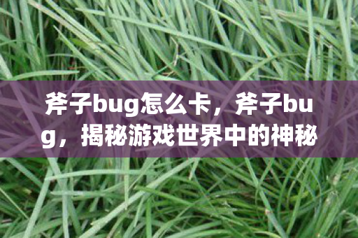 斧子bug怎么卡，斧子bug，揭秘游戏世界中的神秘漏洞