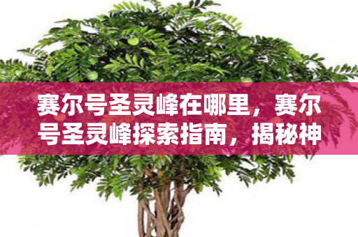 赛尔号圣灵峰在哪里，赛尔号圣灵峰探索指南，揭秘神秘地点的位置与特色