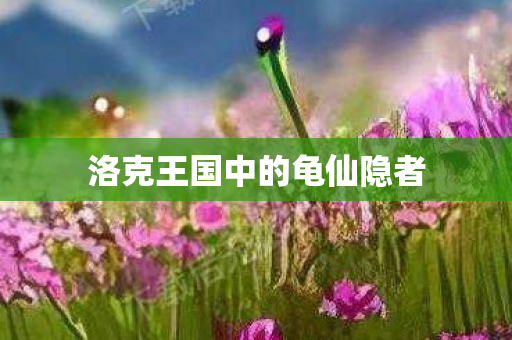 洛克王国中的龟仙隐者