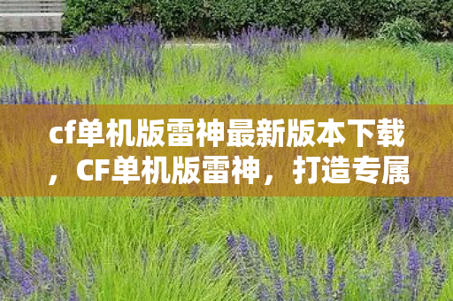 cf单机版雷神最新版本下载，CF单机版雷神，打造专属游戏世界的奇妙之旅