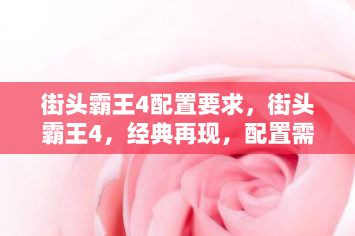 街头霸王4配置要求，街头霸王4，经典再现，配置需求解析
