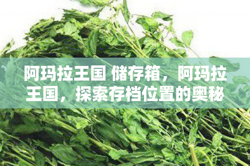 阿玛拉王国 储存箱，阿玛拉王国，探索存档位置的奥秘