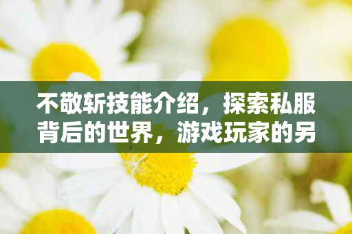 不敬斩技能介绍，探索私服背后的世界，游戏玩家的另类选择